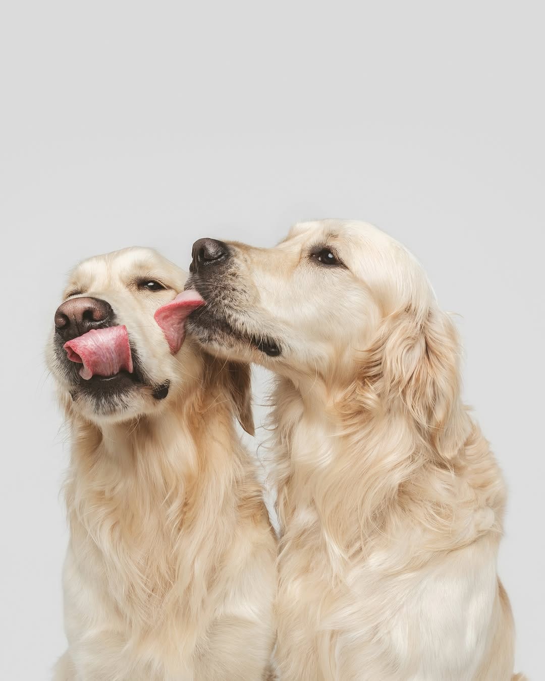 Post 1 by Carlina Gea | Fotografía Muy Animal on Instagram (image)
