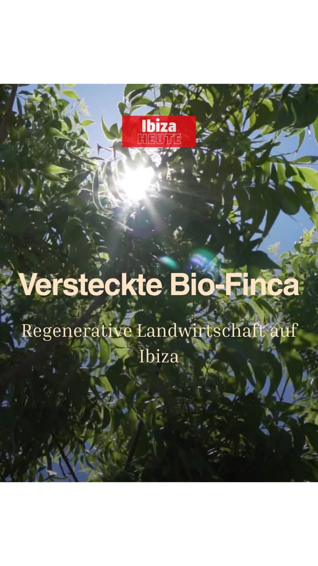 Post 3 by FINCA ECOLOGICA MUSICALIZADA on Instagram (video)