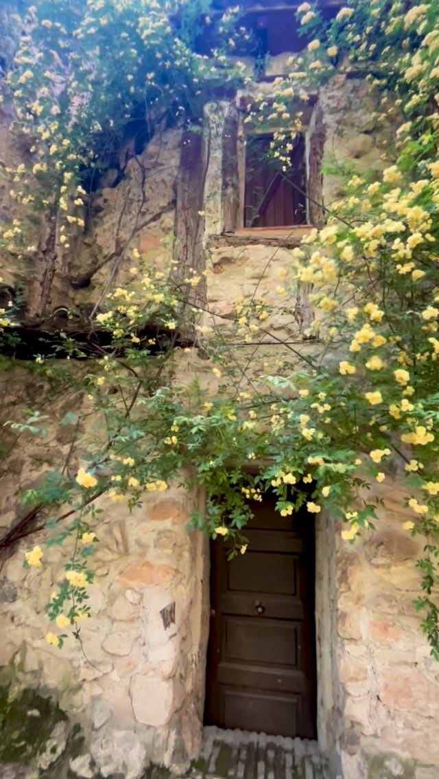 Post 5 by Maria Soledad on Instagram (video)