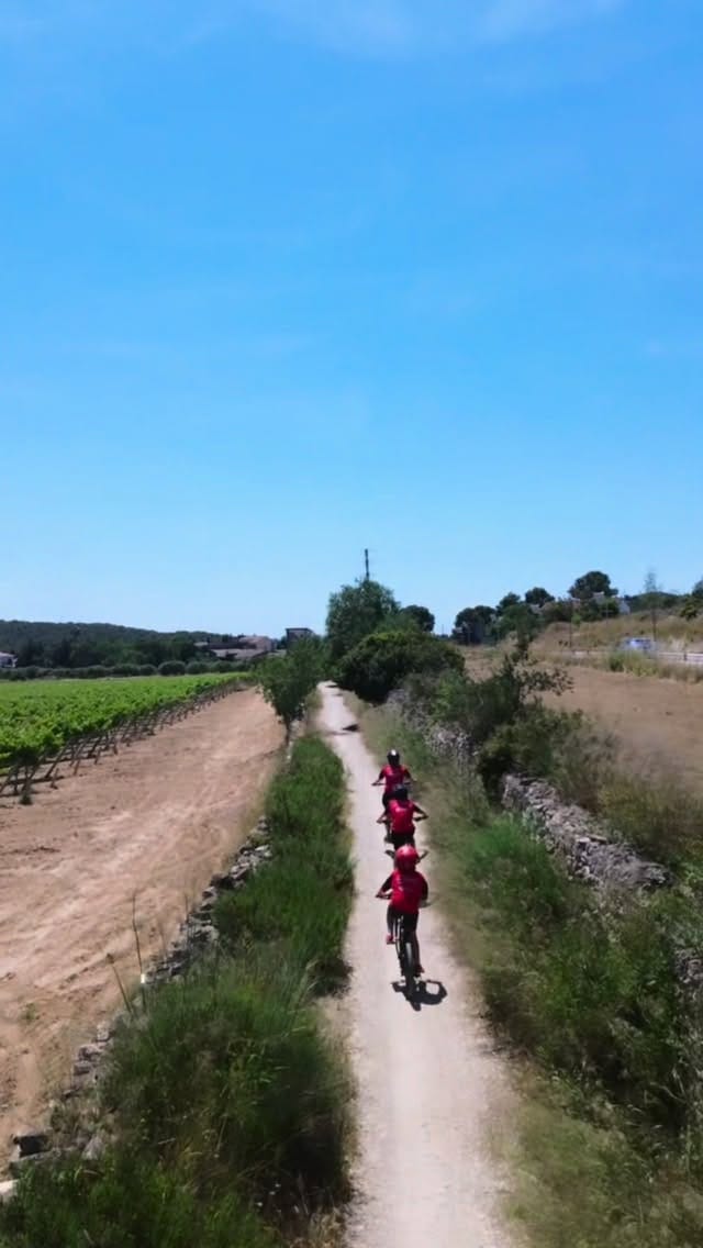 Post 4 by Vane ✨ on Instagram (video)