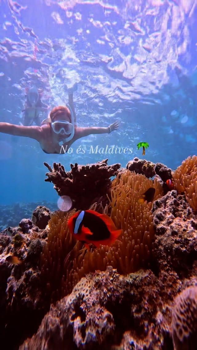 Post 9 by Vane ✨ on Instagram (video)