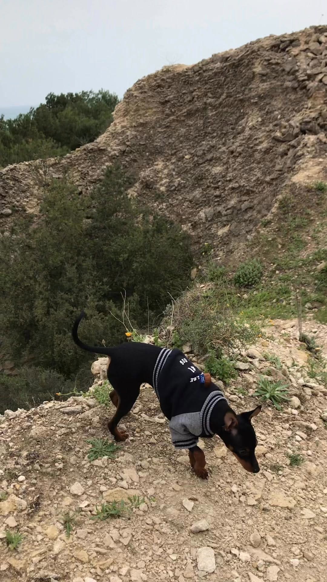 Post 1 by Kevin Caballero. on Instagram (video)