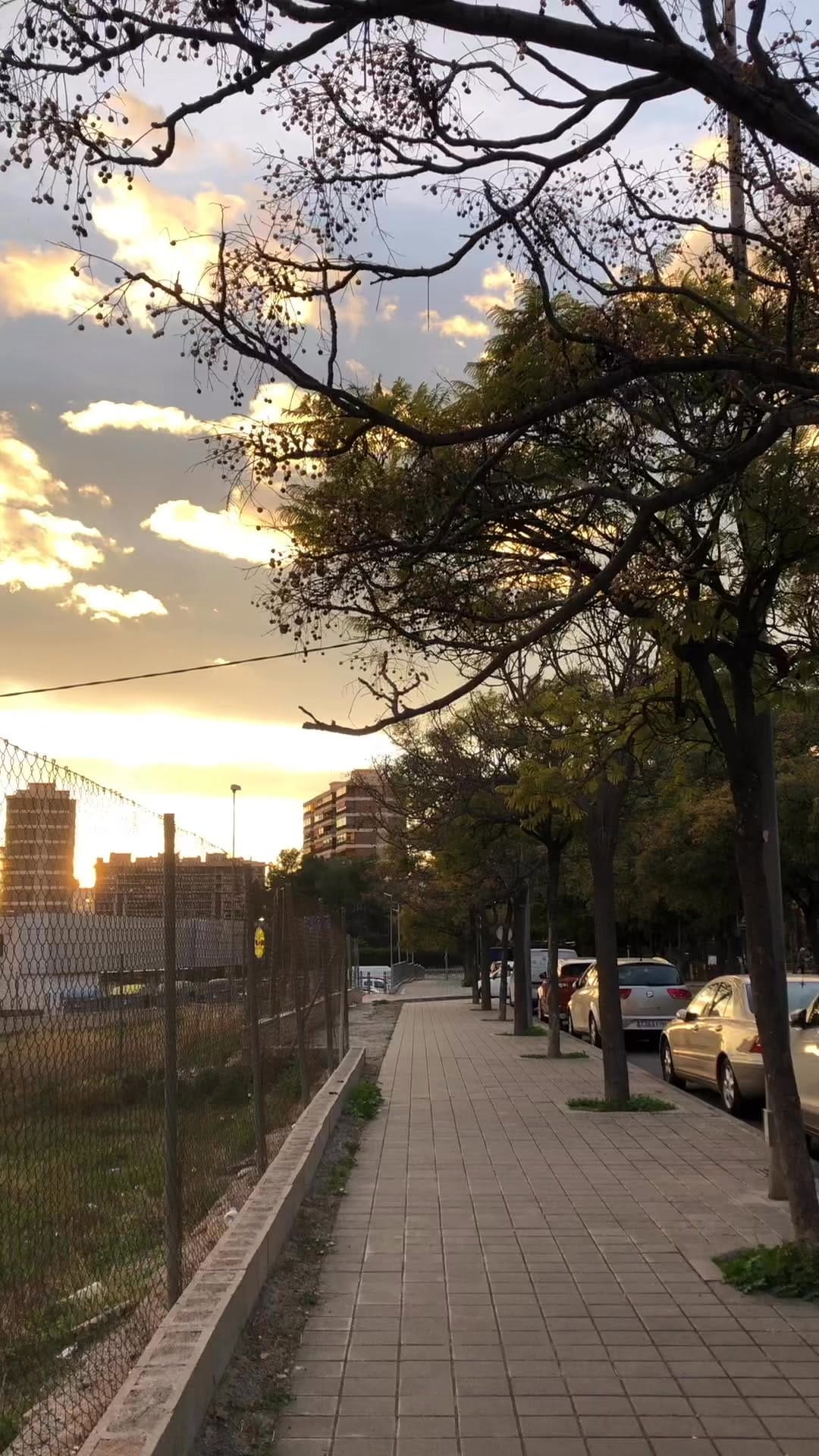 Post 2 by Kevin Caballero. on Instagram (video)