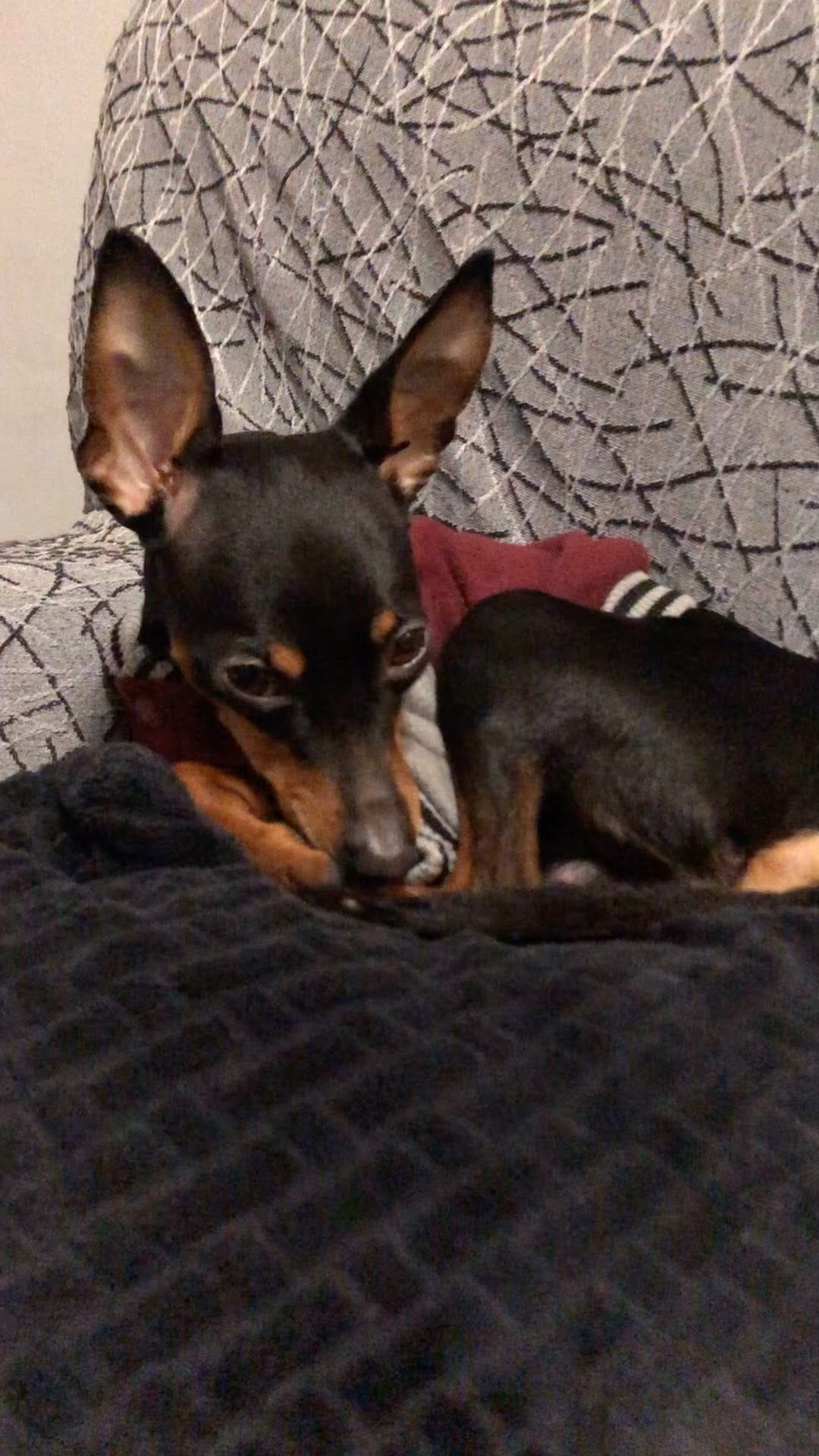 Post 5 by Kevin Caballero. on Instagram (video)