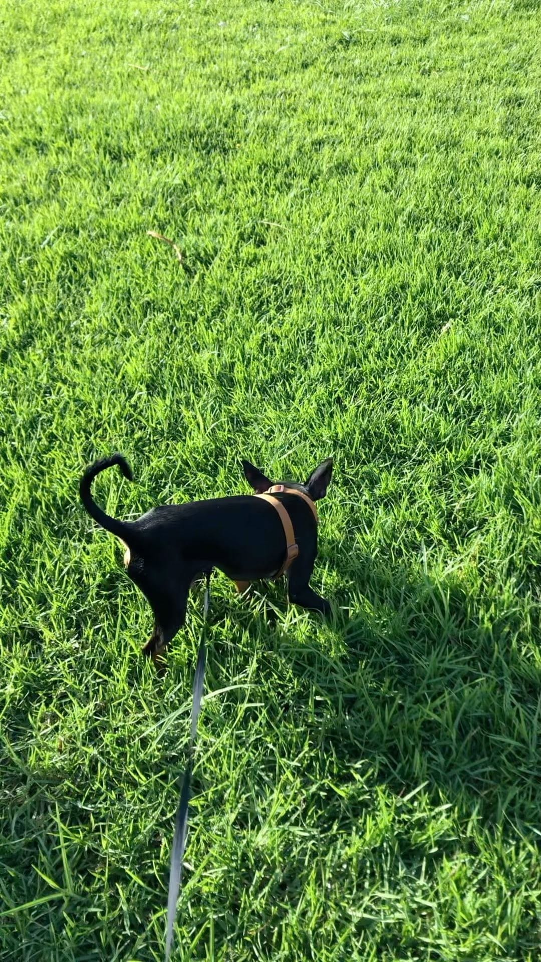 Post 6 by Kevin Caballero. on Instagram (video)
