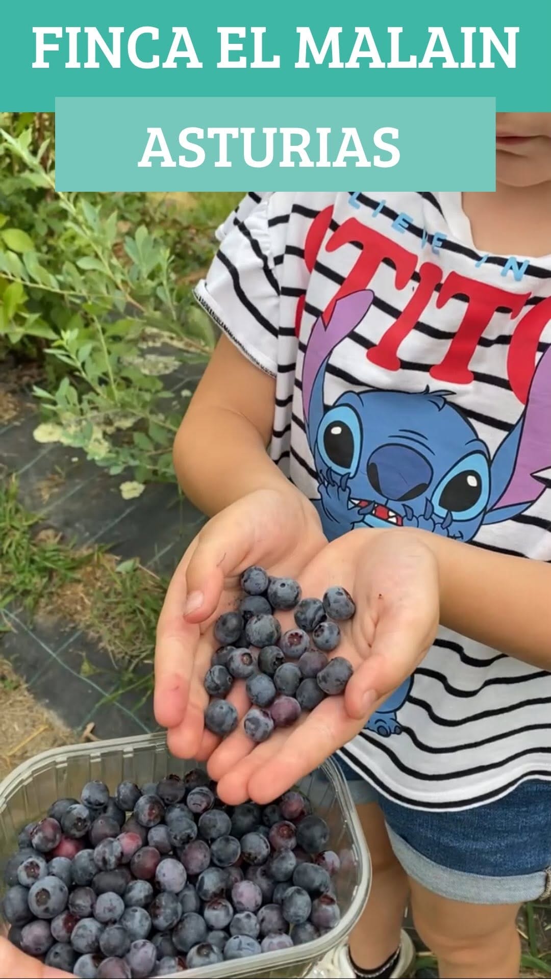 Post 1 by Lola y su mochila on Instagram (video)