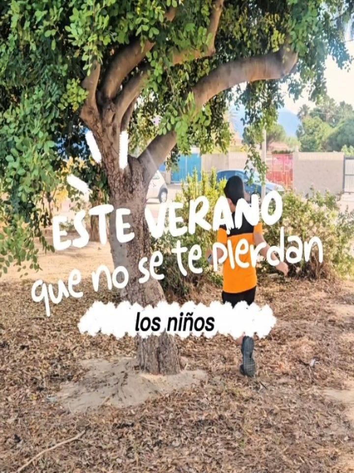 Post 2 by Estefanía Ferrando on Instagram (carousel)