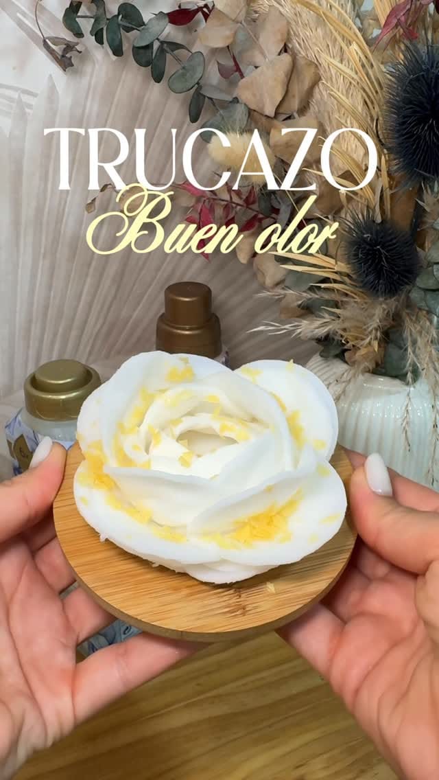 Post 3 by Ana Tuñón on Instagram (video)