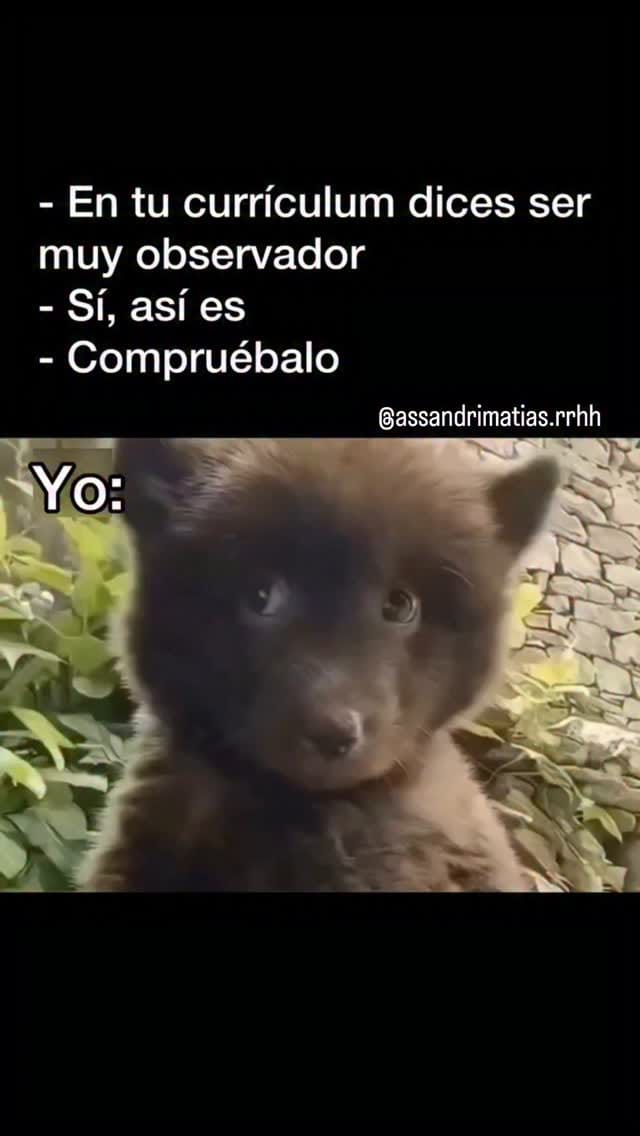 Post 3 by Matias Assandri // RRHH y Empleo on Instagram (video)