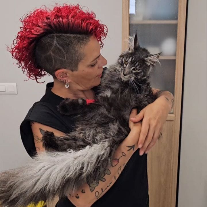 Post 7 by AXLA: Amig@s X Los Animales on Instagram (carousel)