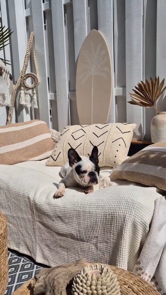 Post 4 by Sainteriorstyle  》Sarah 𓆉𓇼☮ 》Onlineshop ▪︎ Deko ▪︎ Interior on Instagram (video)