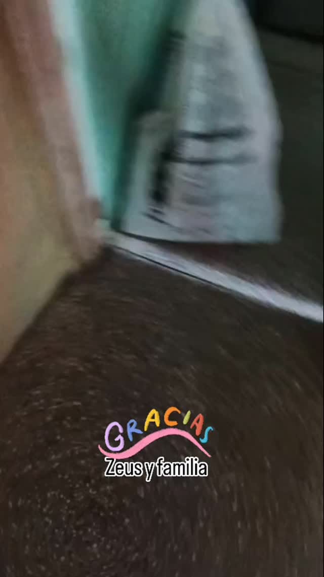 Post 5 by 𝐏𝐫𝐨𝐭𝐞𝐜𝐜𝐢𝐨𝐧𝐢𝐬𝐭𝐚𝐬 𝐥𝐚 𝐆𝐫𝐚𝐧𝐣𝐚 on Instagram (video)