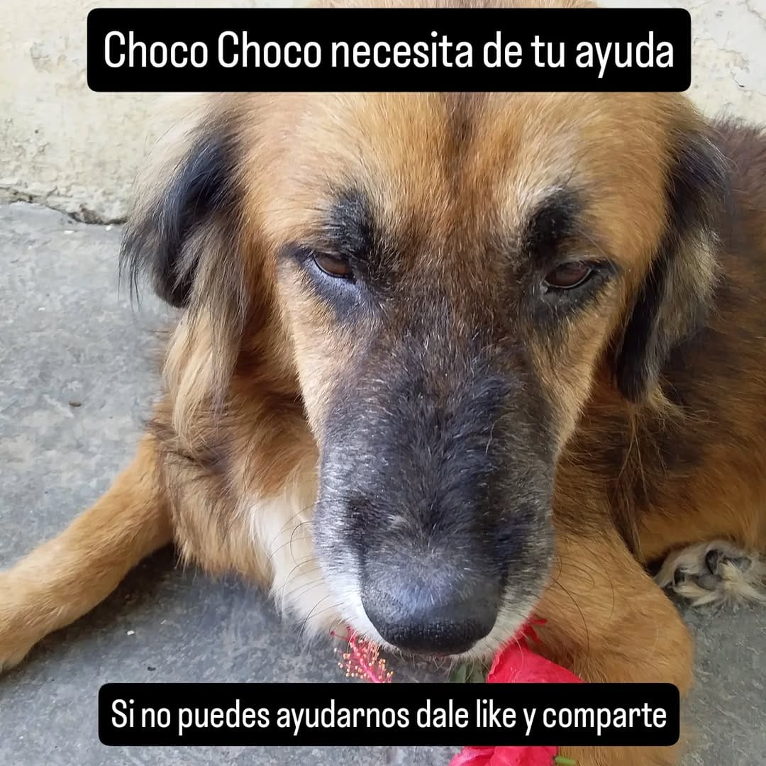 Post 2 by 𝐏𝐫𝐨𝐭𝐞𝐜𝐜𝐢𝐨𝐧𝐢𝐬𝐭𝐚𝐬 𝐥𝐚 𝐆𝐫𝐚𝐧𝐣𝐚 on Instagram (image)