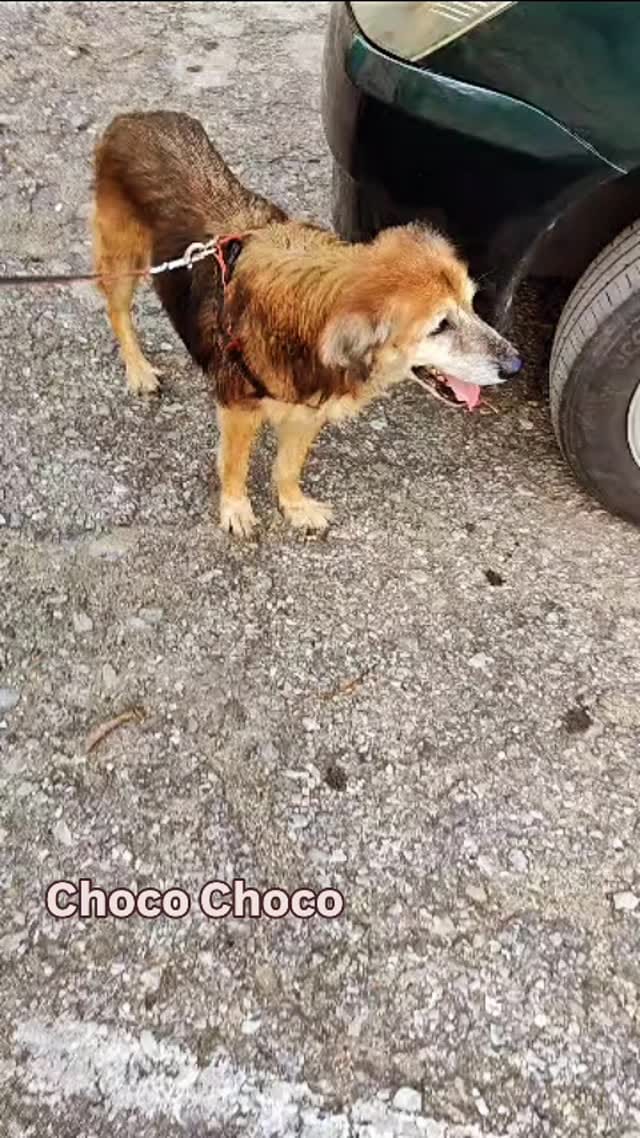 Post 7 by 𝐏𝐫𝐨𝐭𝐞𝐜𝐜𝐢𝐨𝐧𝐢𝐬𝐭𝐚𝐬 𝐥𝐚 𝐆𝐫𝐚𝐧𝐣𝐚 on Instagram (video)