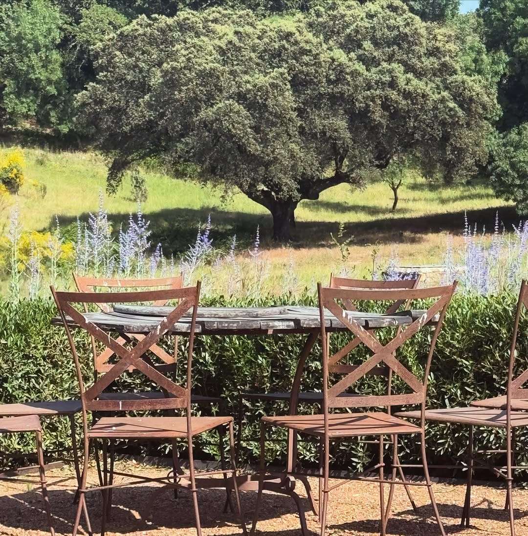Post 4 by LOCUS LANDSCAPE ARCHITECTURE on Instagram (image)