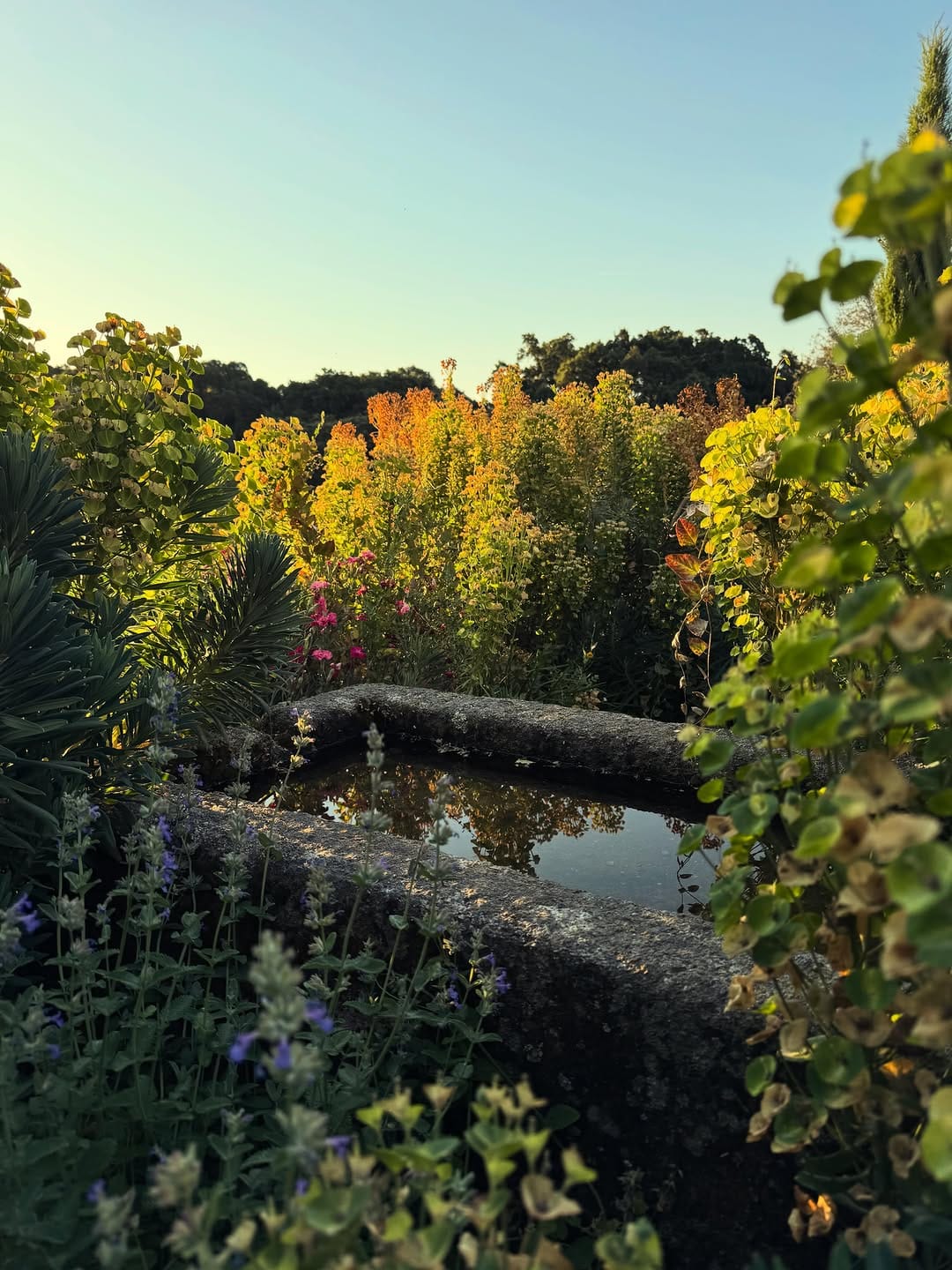 Post 3 by LOCUS LANDSCAPE ARCHITECTURE on Instagram (image)