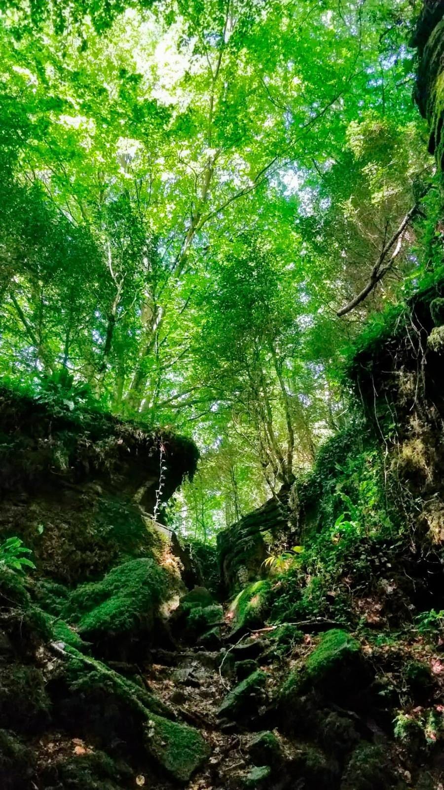 Post 3 by JORDI GINABREDA STUDIO on Instagram (video)