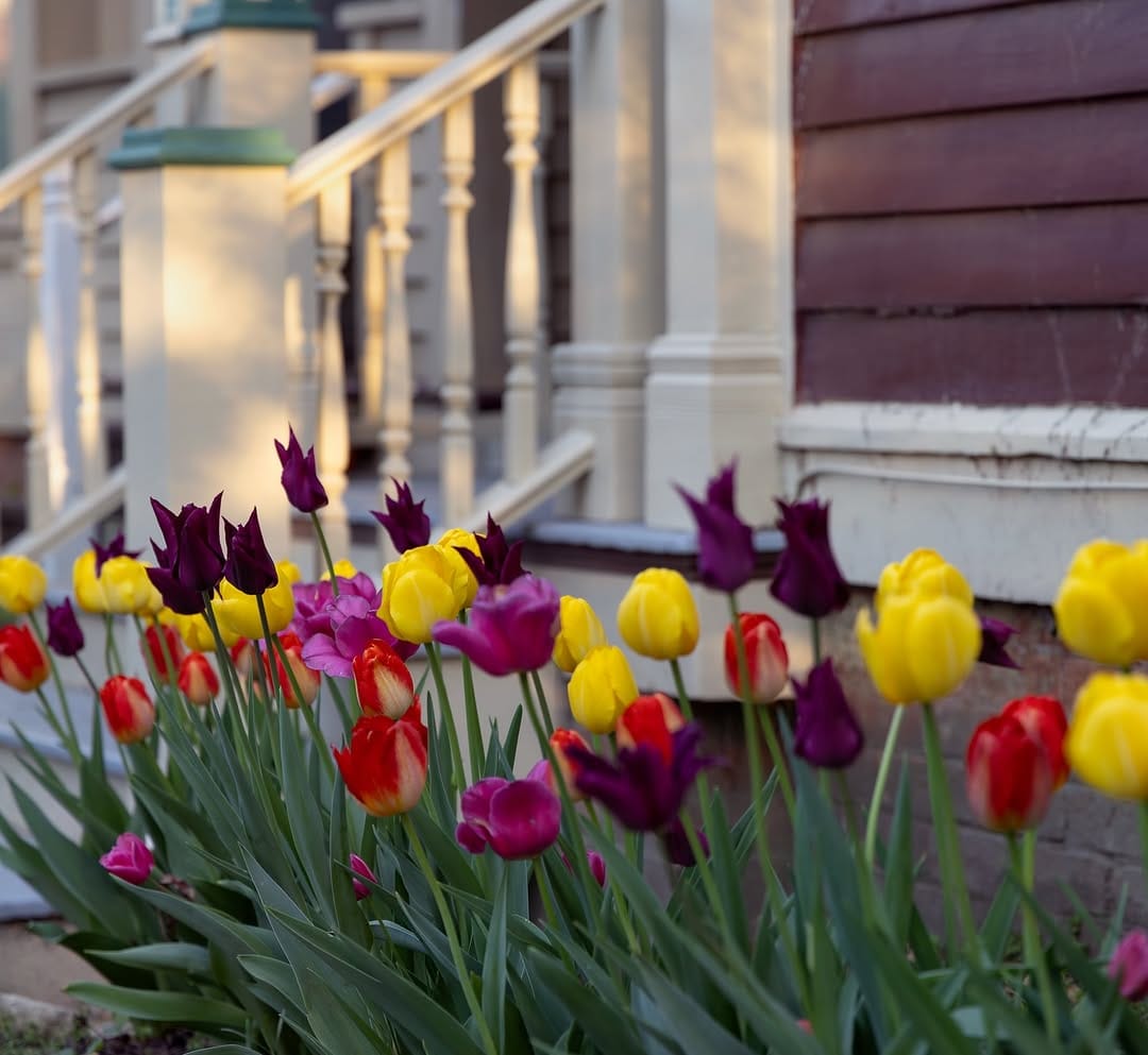 Post 2 by Jim - Old Houses & Antiques! on Instagram (image)