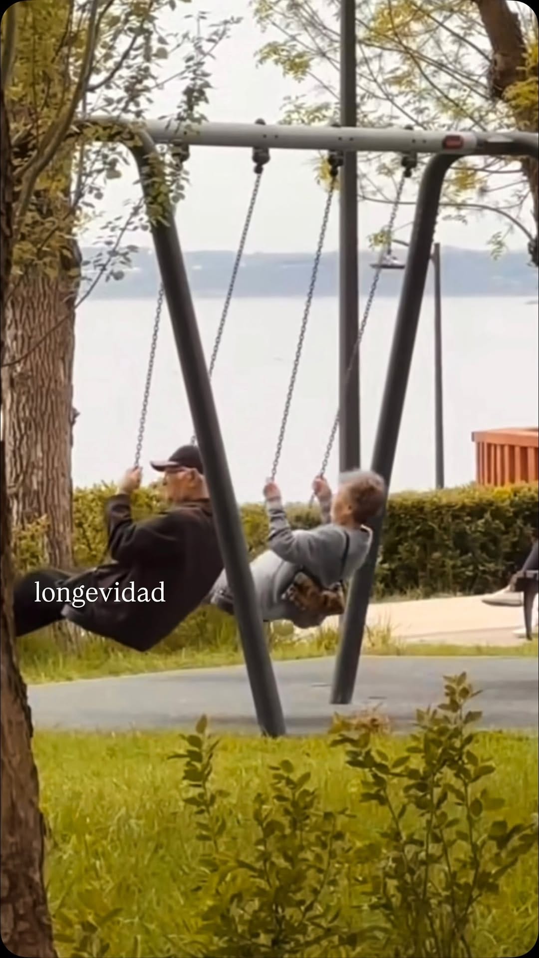 Post 1 by Andrea Leal on Instagram (video)