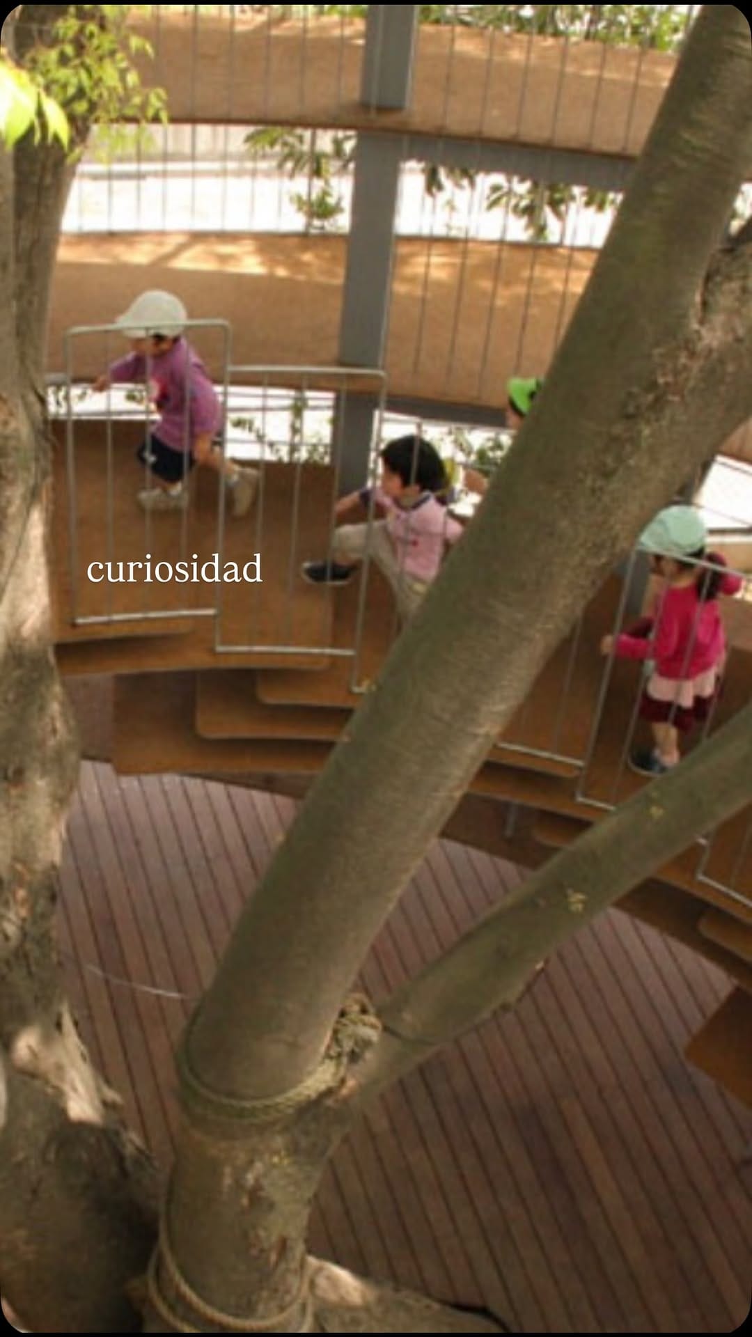 Post 3 by Andrea Leal on Instagram (video)