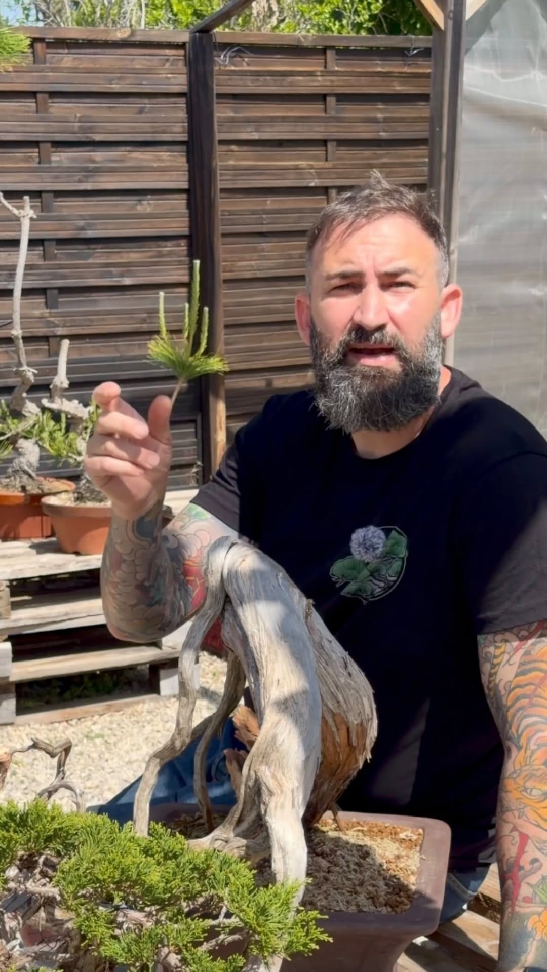 Post 4 by BonsaiSense | Escuela y Vivero de Bonsái ✂️🌳 on Instagram (video)