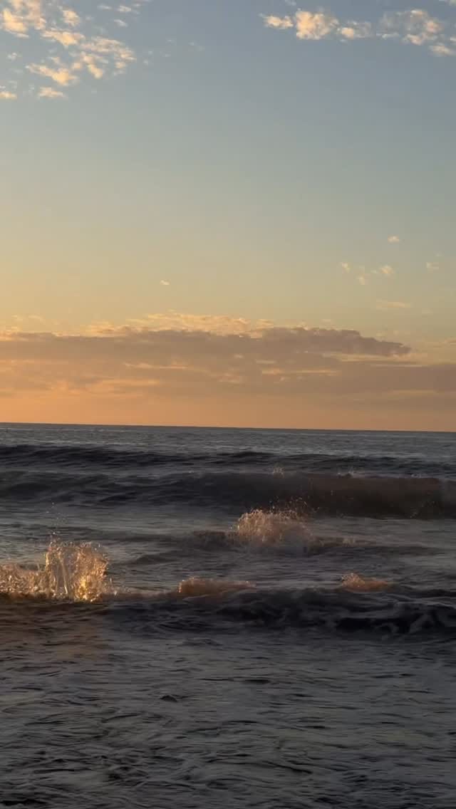 Post 5 by Johan 🌱 on Instagram (video)