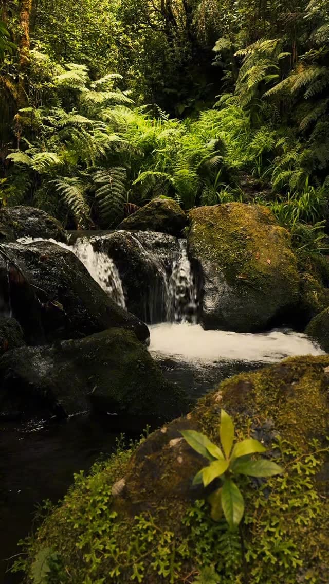 Post 2 by Dávid Melcher on Instagram (video)