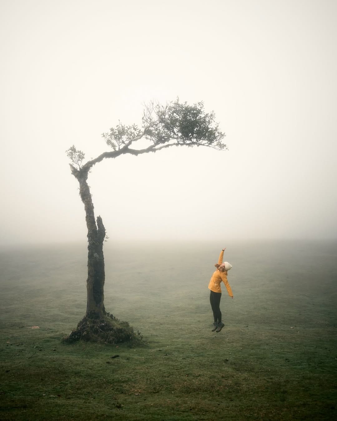 Post 4 by Dávid Melcher on Instagram (carousel)