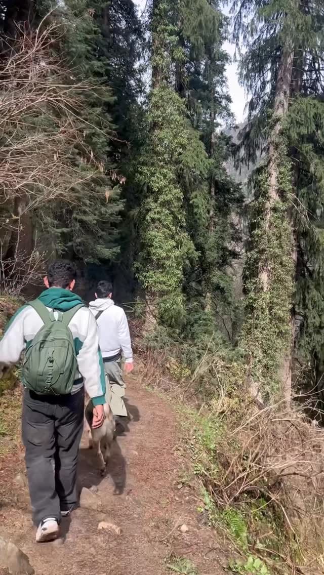 Post 3 by ArShu on Instagram (video)