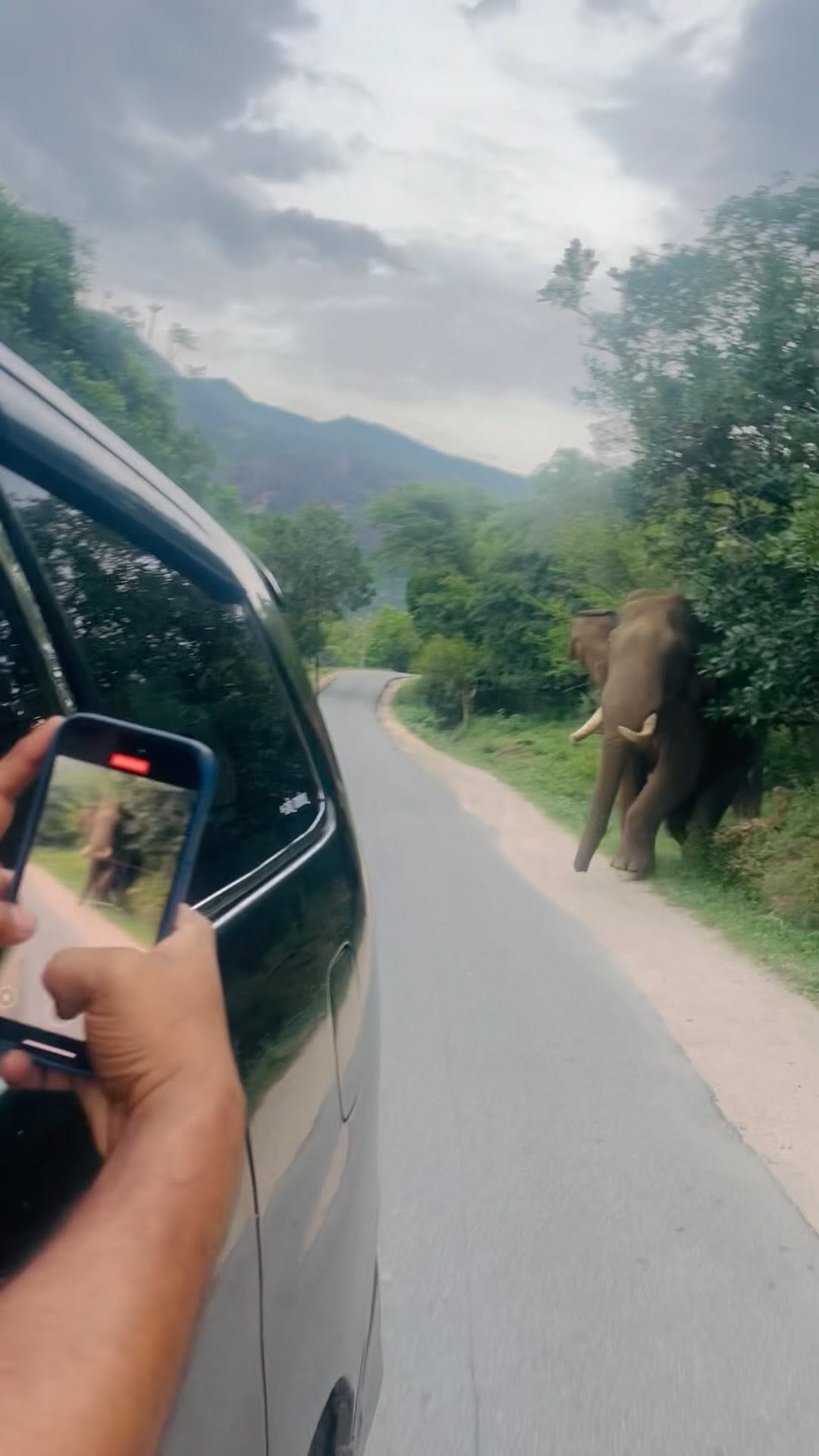 Post 4 by ArShu on Instagram (video)
