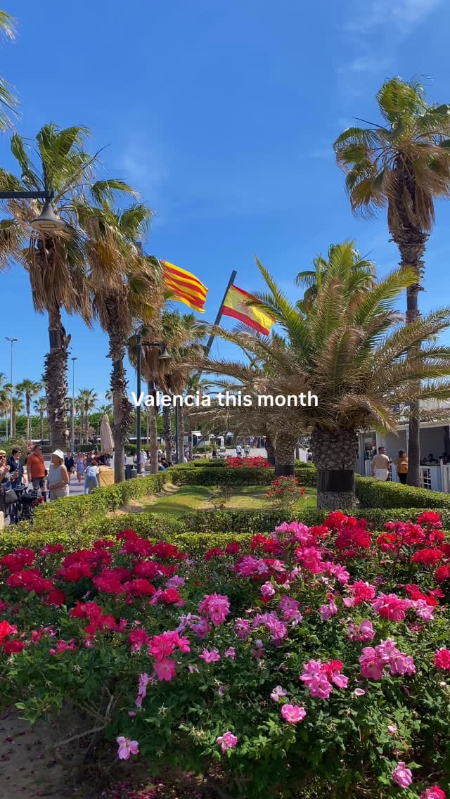 Post 1 by Kati | Valencian Community 🇪🇸 on Instagram (video)