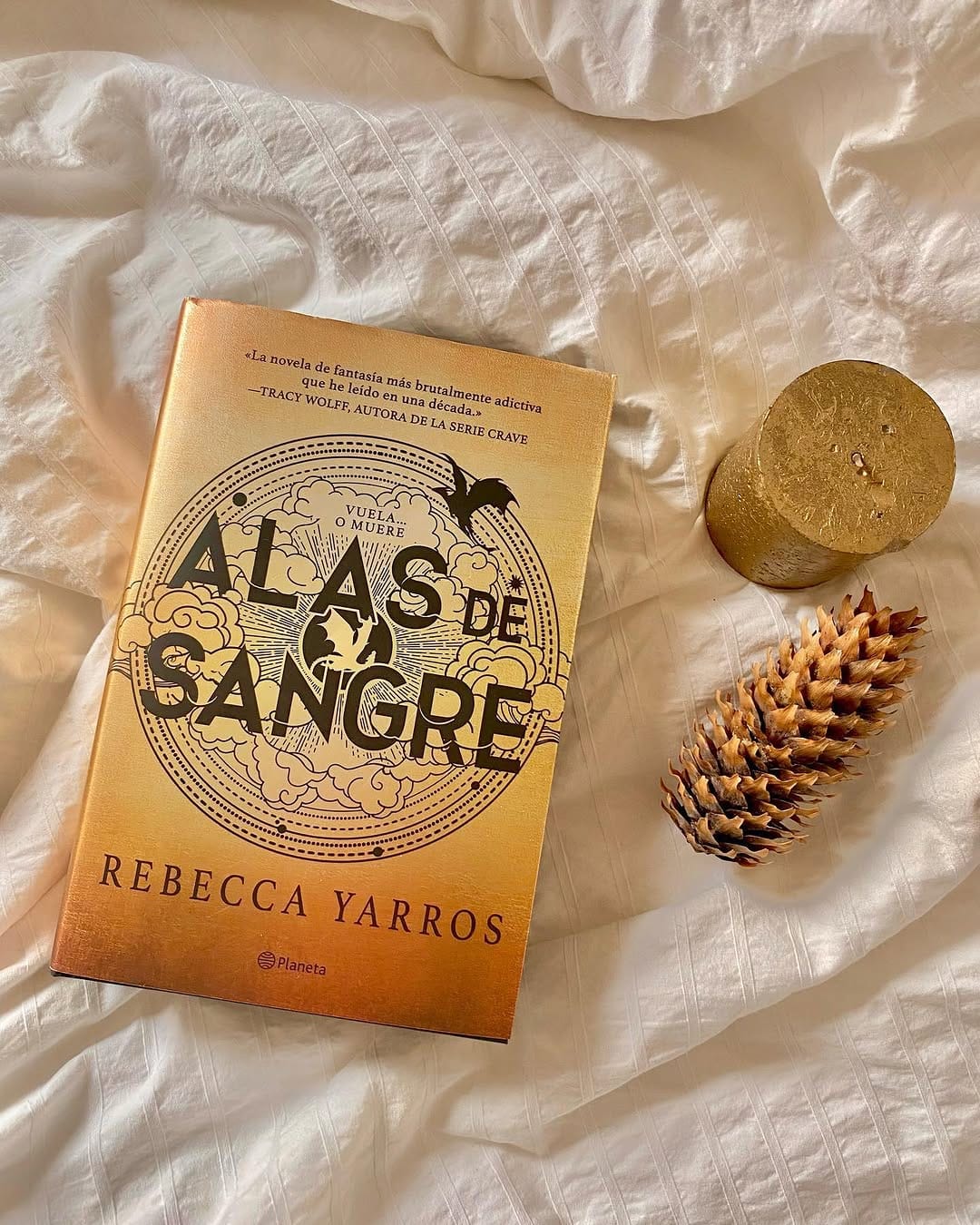 Post 8 by María🌻 on Instagram (carousel)