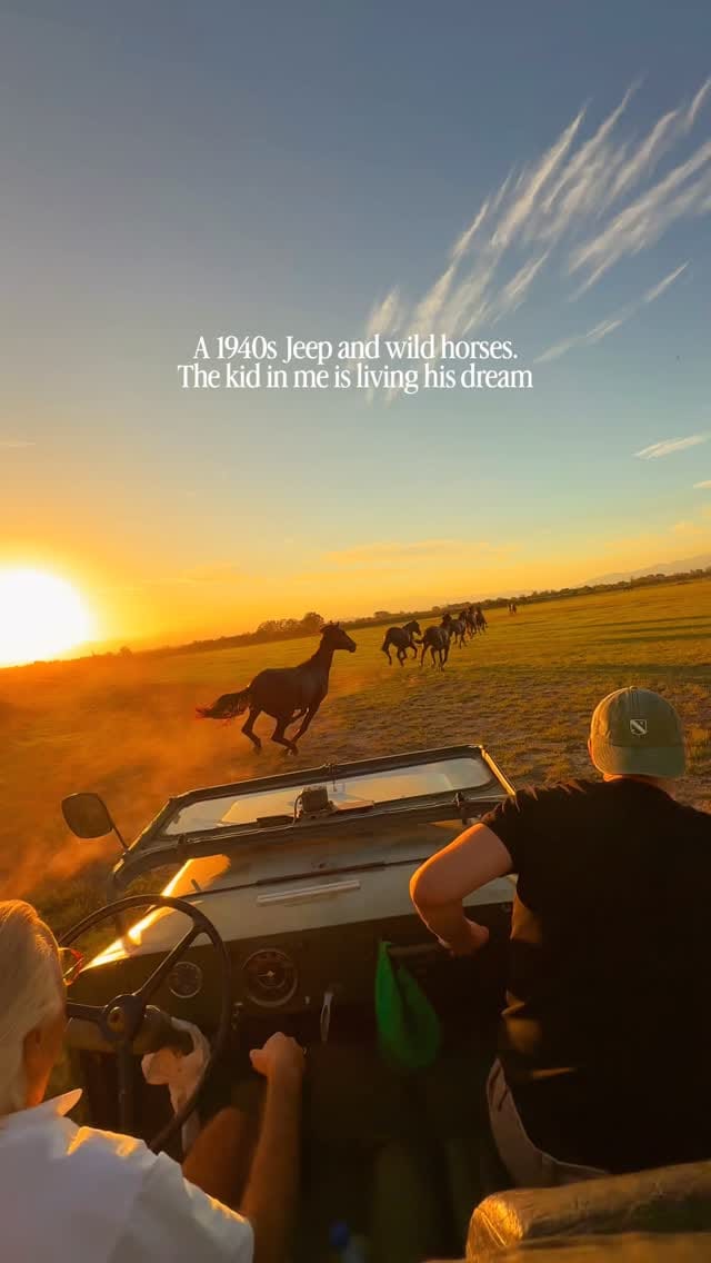Post 3 by Mike Grandio | Content Creator & Filmmaker on Instagram (video)