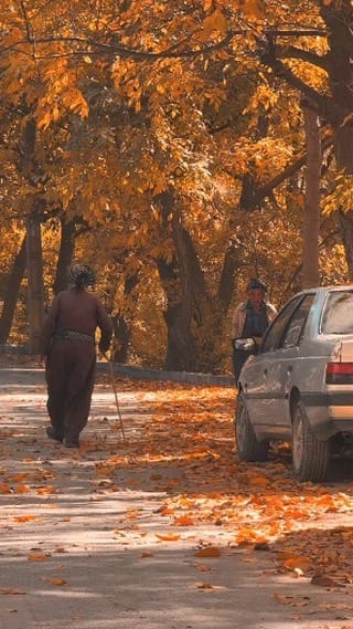 Post 6 by شادمان حسینی on Instagram (video)