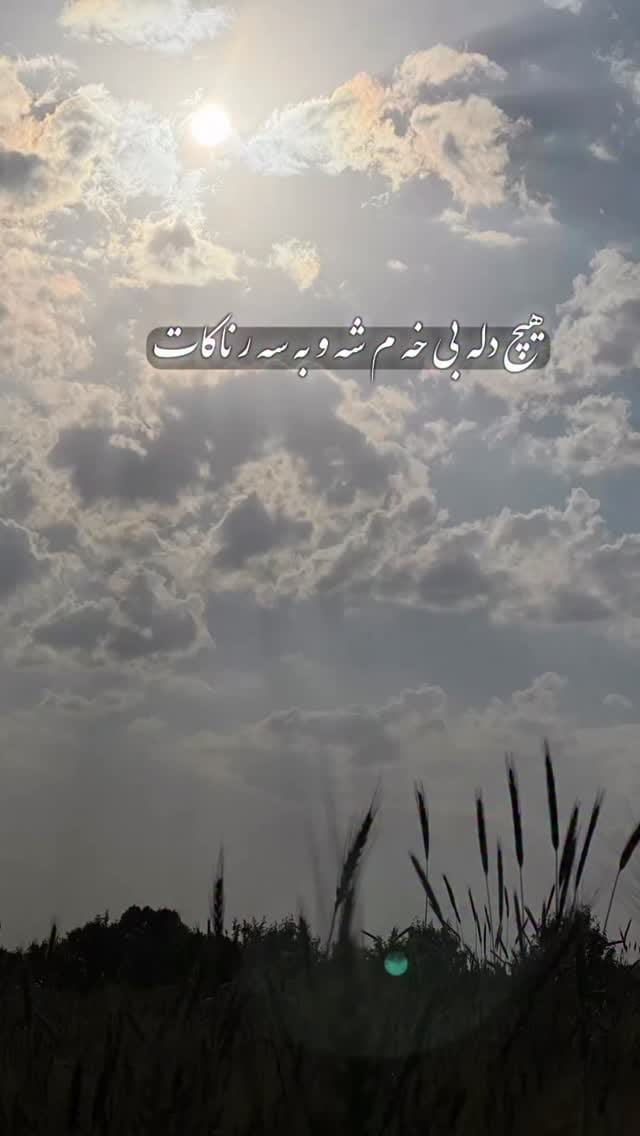 Post 10 by شادمان حسینی on Instagram (video)