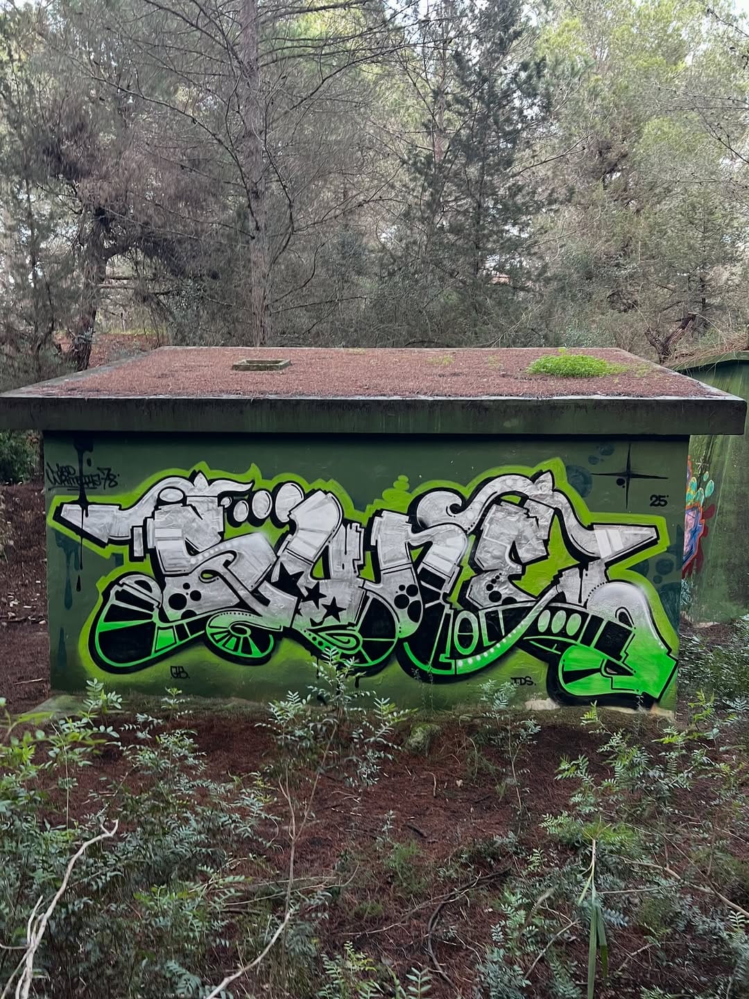 Post 7 by @sune1 on Instagram (carousel)