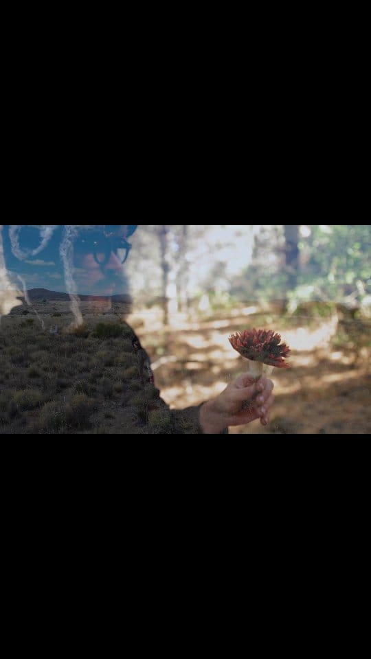 Post 3 by Abel Calzetta on Instagram (video)