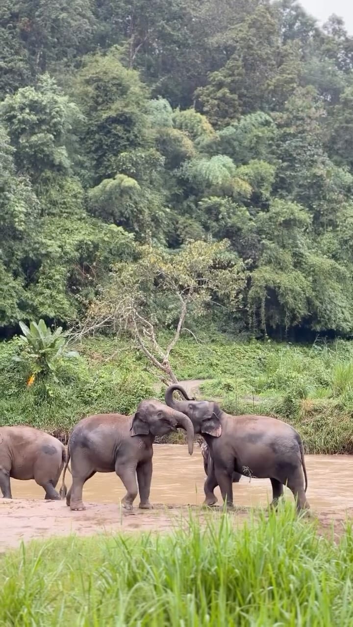 Post 5 by Andrea Manzanares on Instagram (video)