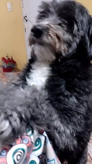 Post 9 by Gabriela alvornoz on Instagram (video)