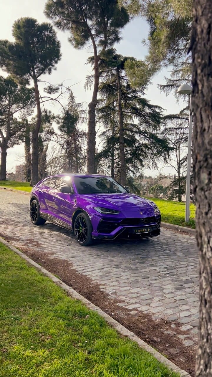 Post 2 by |SPEC| on Instagram (video)