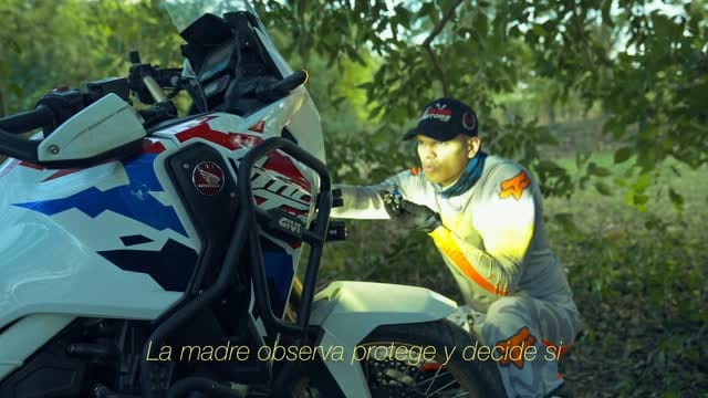 Post 10 by Nelson Camacho on Instagram (video)