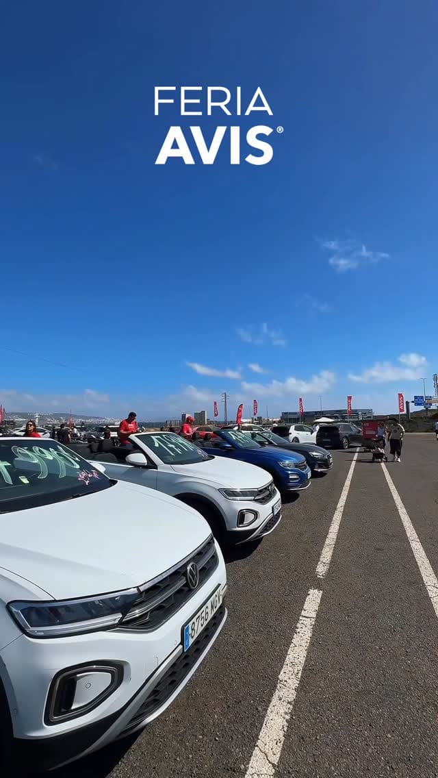 Post 2 by Avis Canarias on Instagram (video)