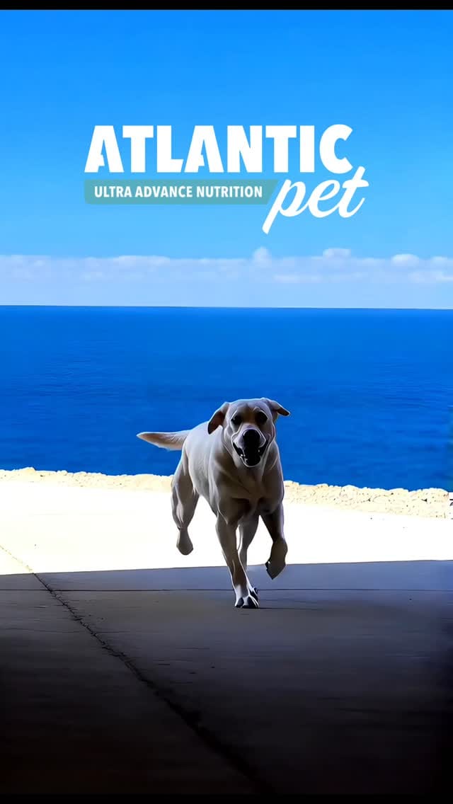 Post 2 by Tarzan Trailrunner on Instagram (video)