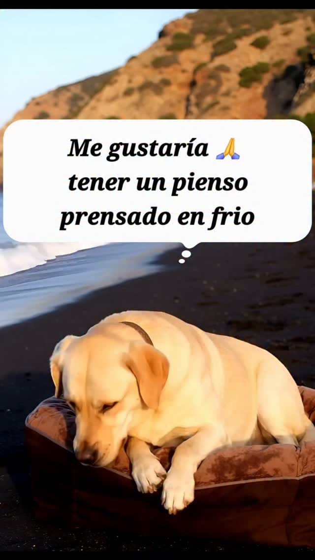 Post 10 by Tarzan Trailrunner on Instagram (video)