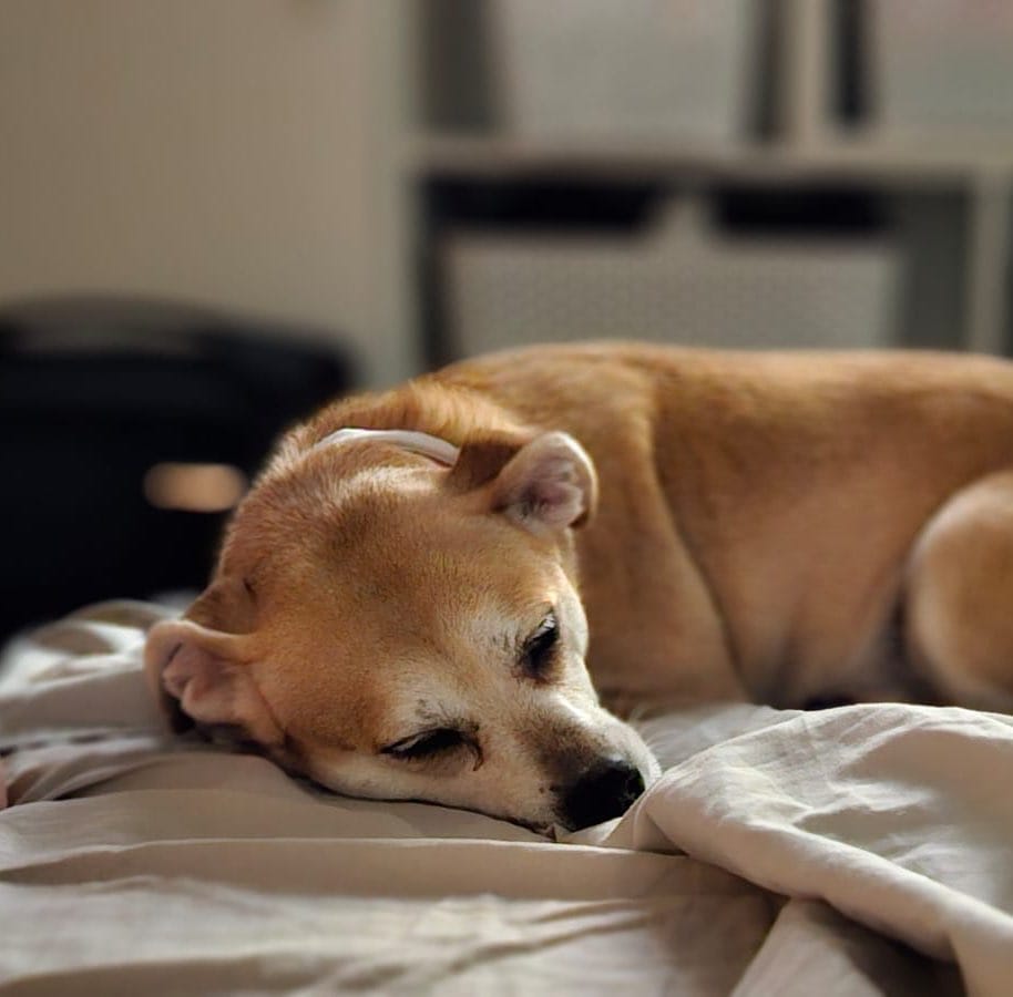 Post 1 by Perú Sensual on Instagram (image)