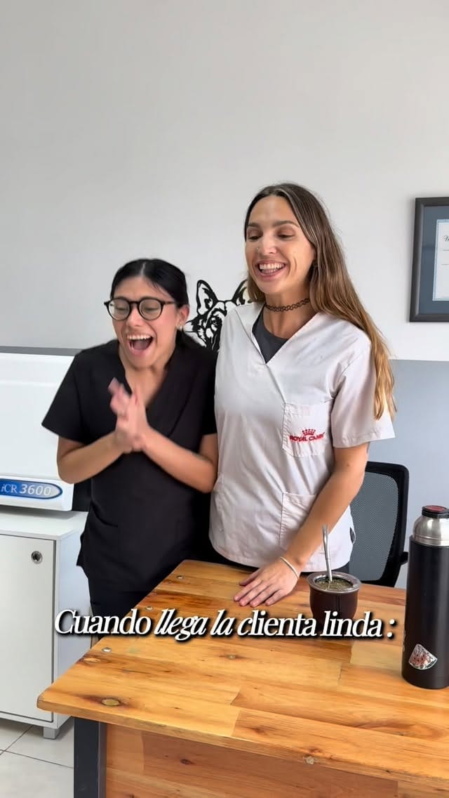 Post 2 by CLINICA VETERINARIA CHIPET on Instagram (video)