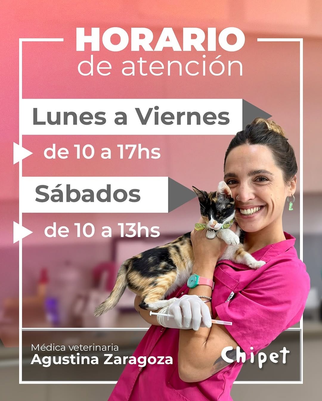 Post 9 by CLINICA VETERINARIA CHIPET on Instagram (image)