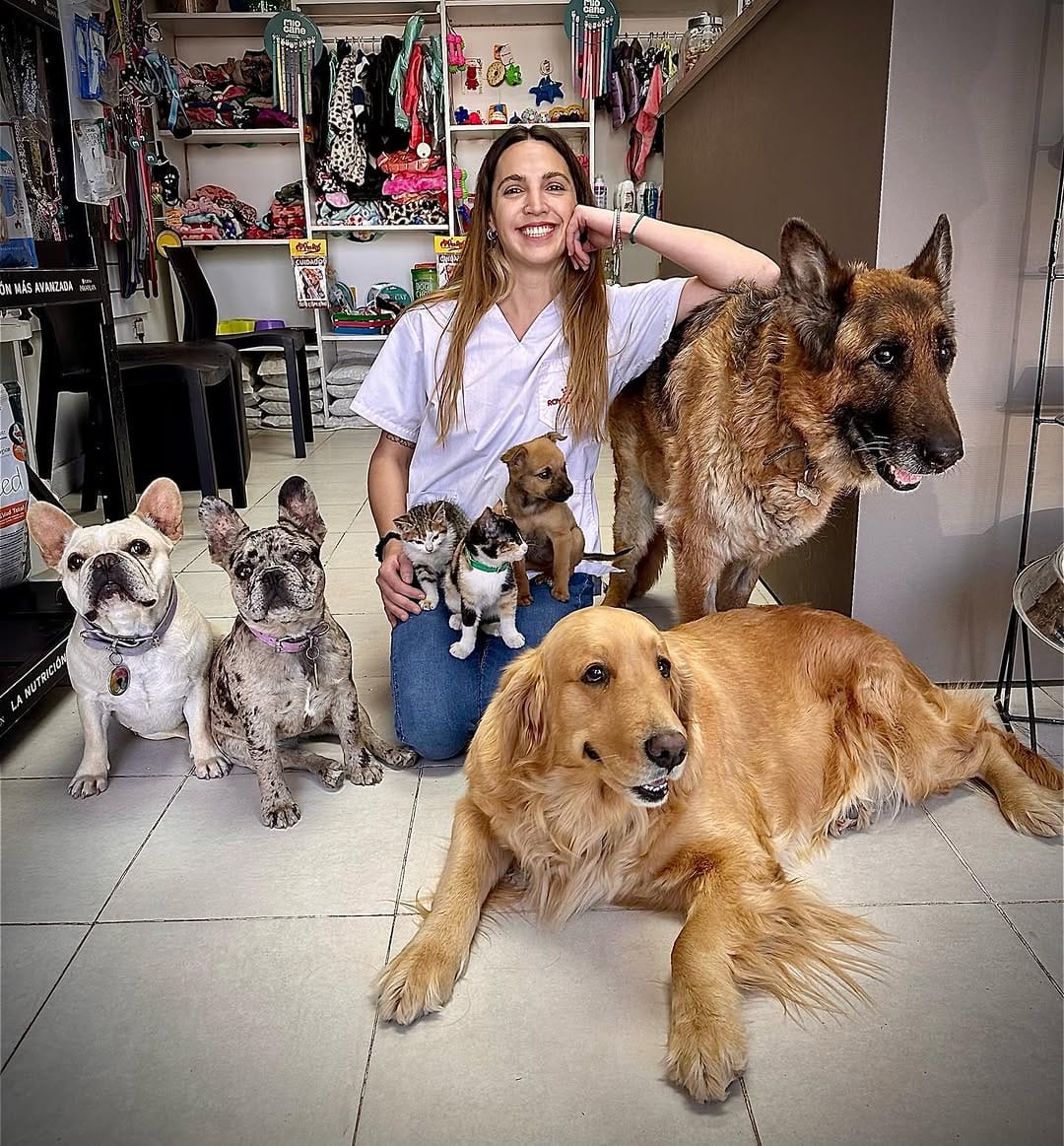 Post 10 by CLINICA VETERINARIA CHIPET on Instagram (image)