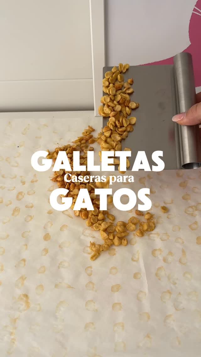 Post 9 by Desirèe Olmeda on Instagram (video)