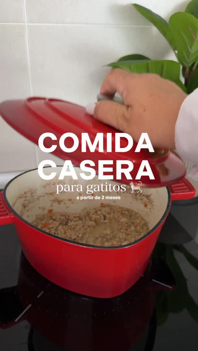 Post 7 by Desirèe Olmeda on Instagram (video)